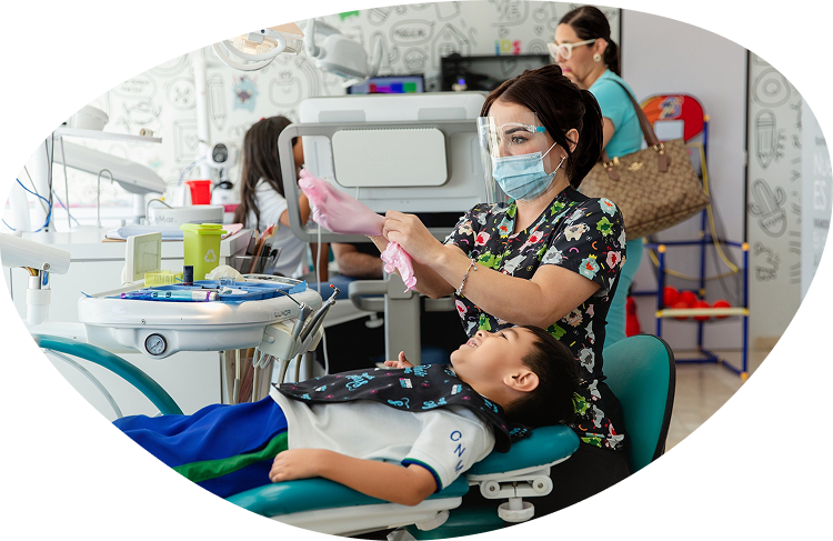 Equipo WOW! Experience